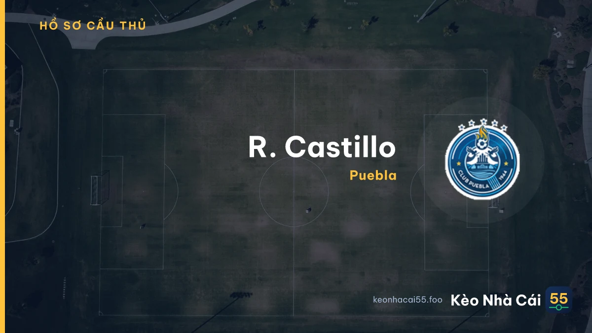 R. Castillo