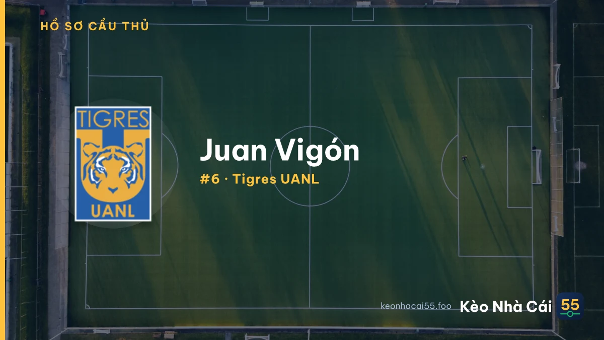 J. Vigón