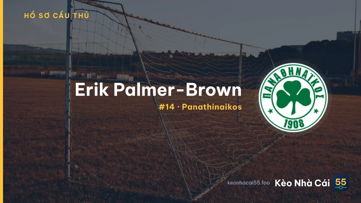 E. Palmer-Brown