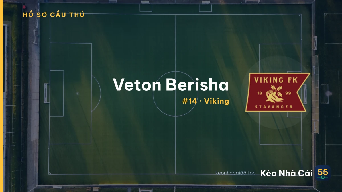 Veton Berisha — Viking