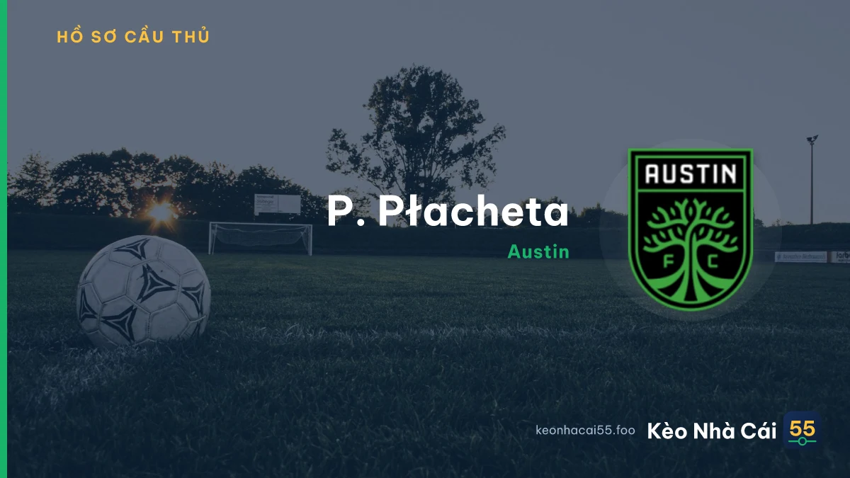 P. Płacheta