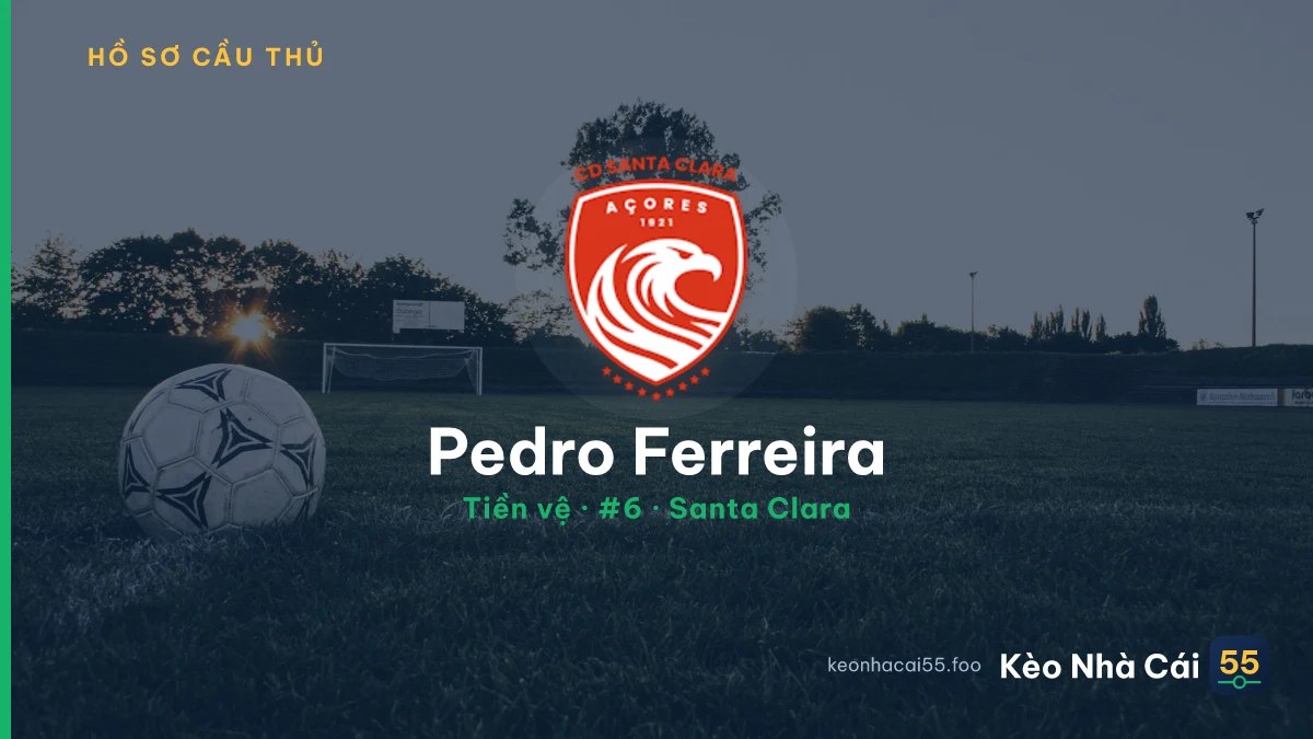 Pedro Ferreira