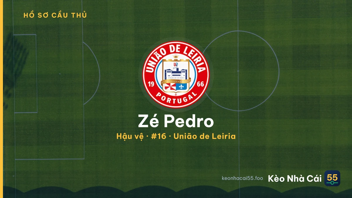 Zé Pedro