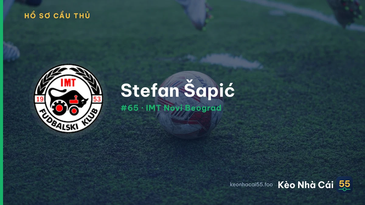 Stefan Šapić — IMT Novi Beograd