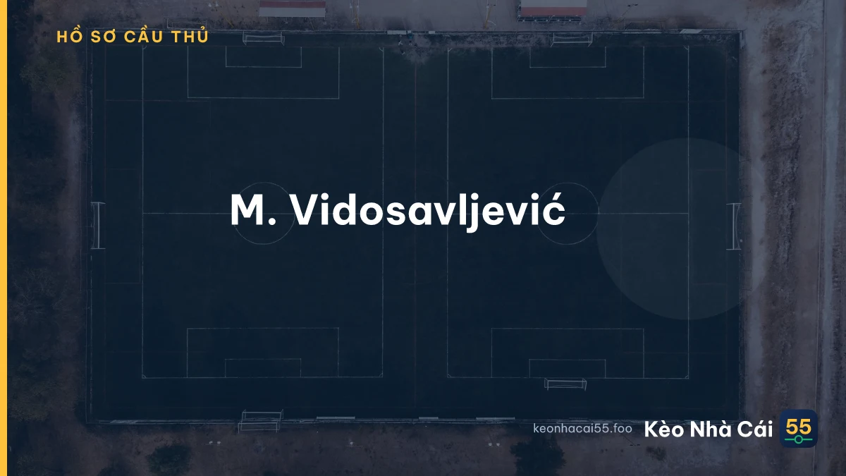 M. Vidosavljević