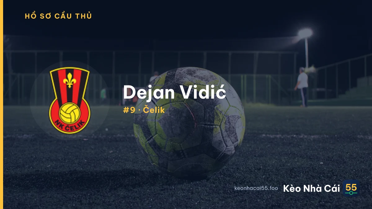 D. Vidić