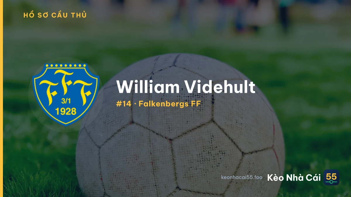 W. Videhult