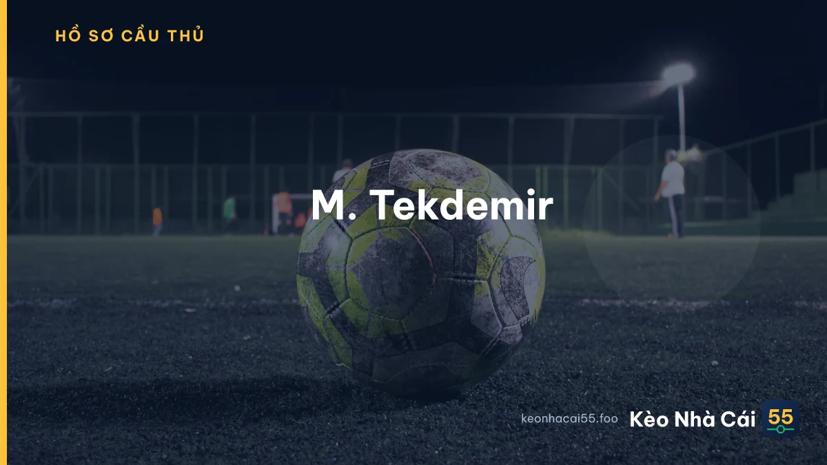 M. Tekdemir