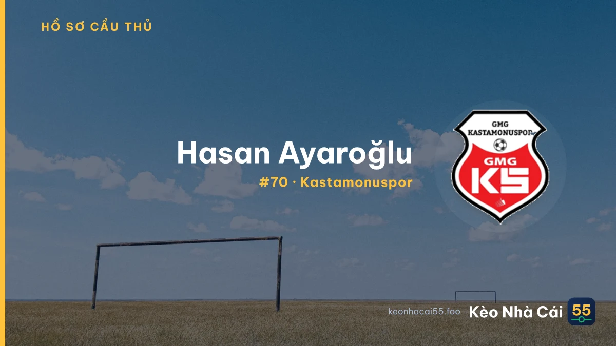 Hasan Ayaroğlu