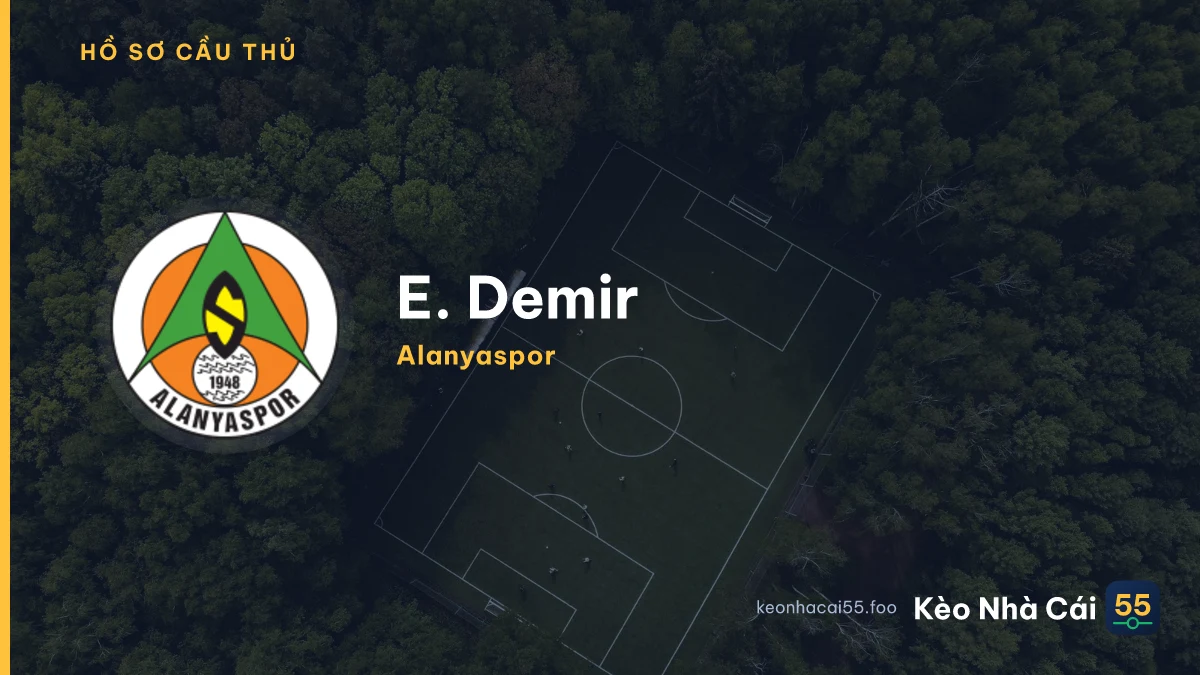 E. Demir