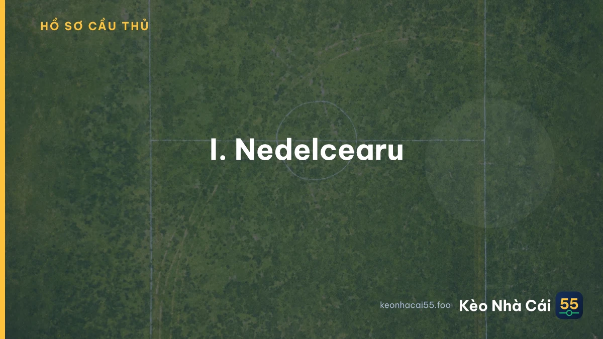 I. Nedelcearu