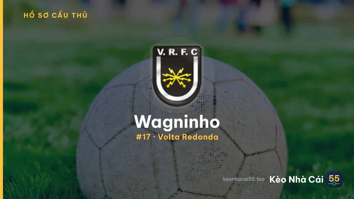 Wagninho — Volta Redonda
