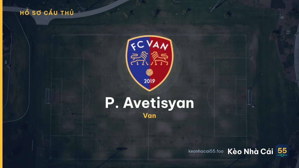 P. Avetisyan