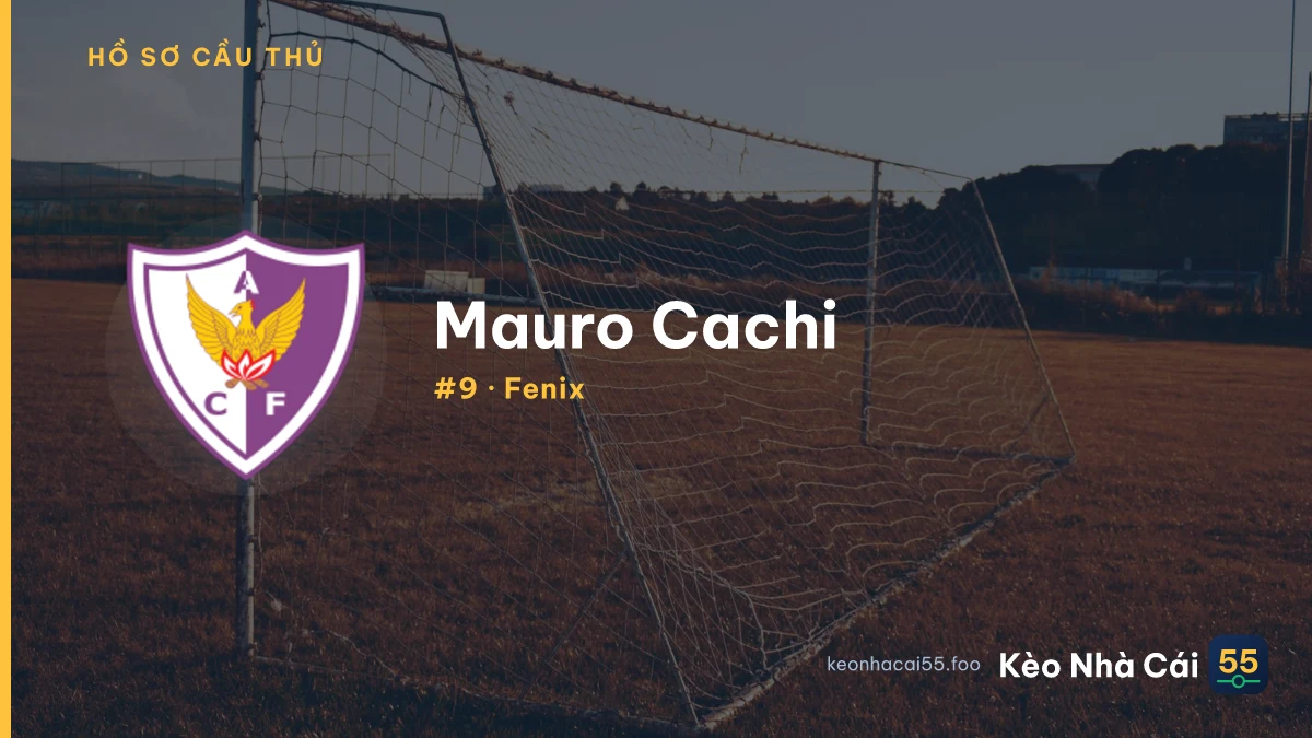 M. Cachi
