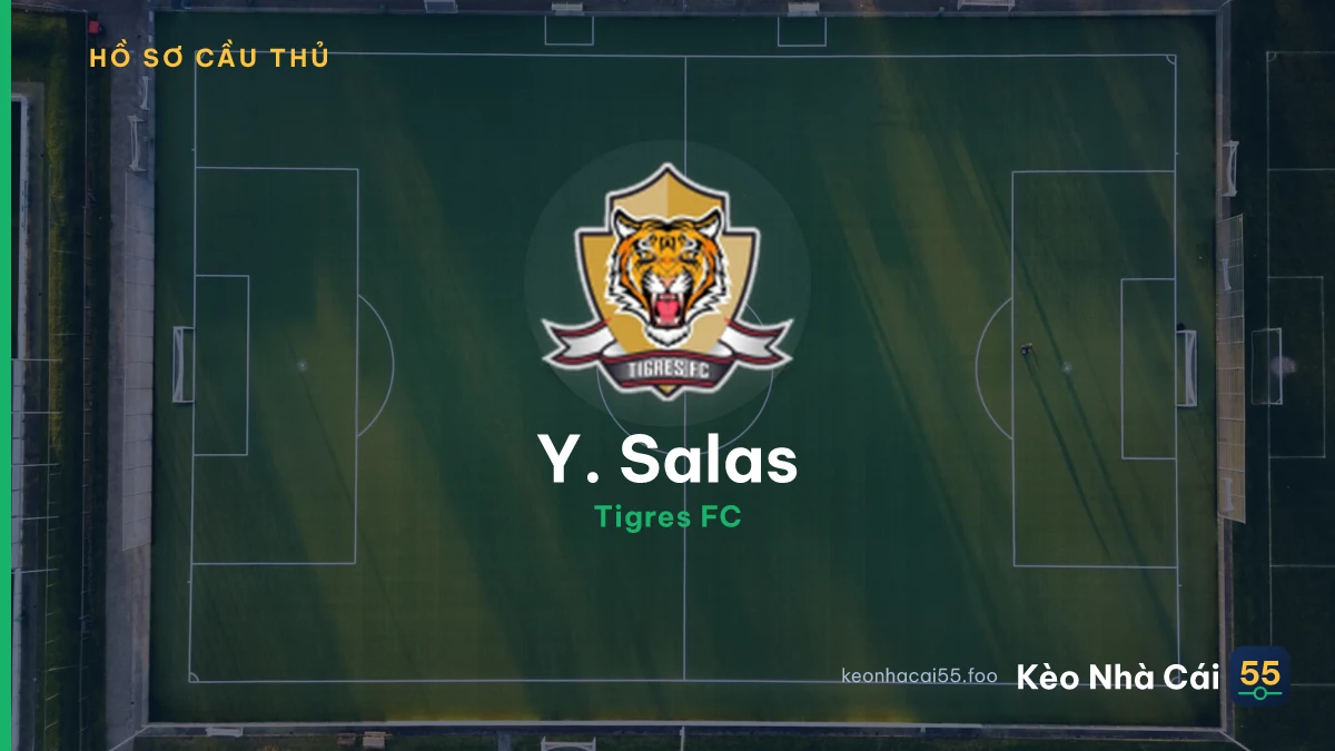 Y. Salas
