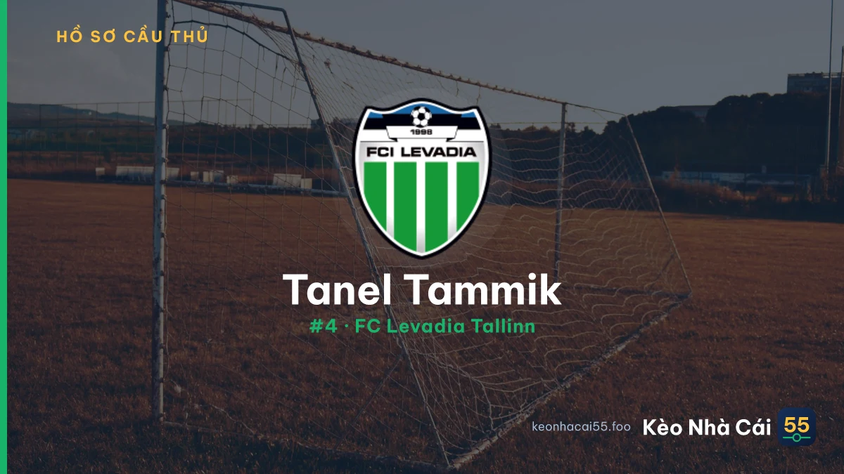 T. Tammik