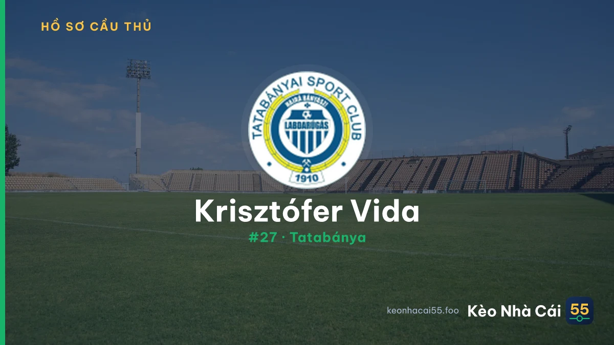 K. Vida — CSM Satu Mare