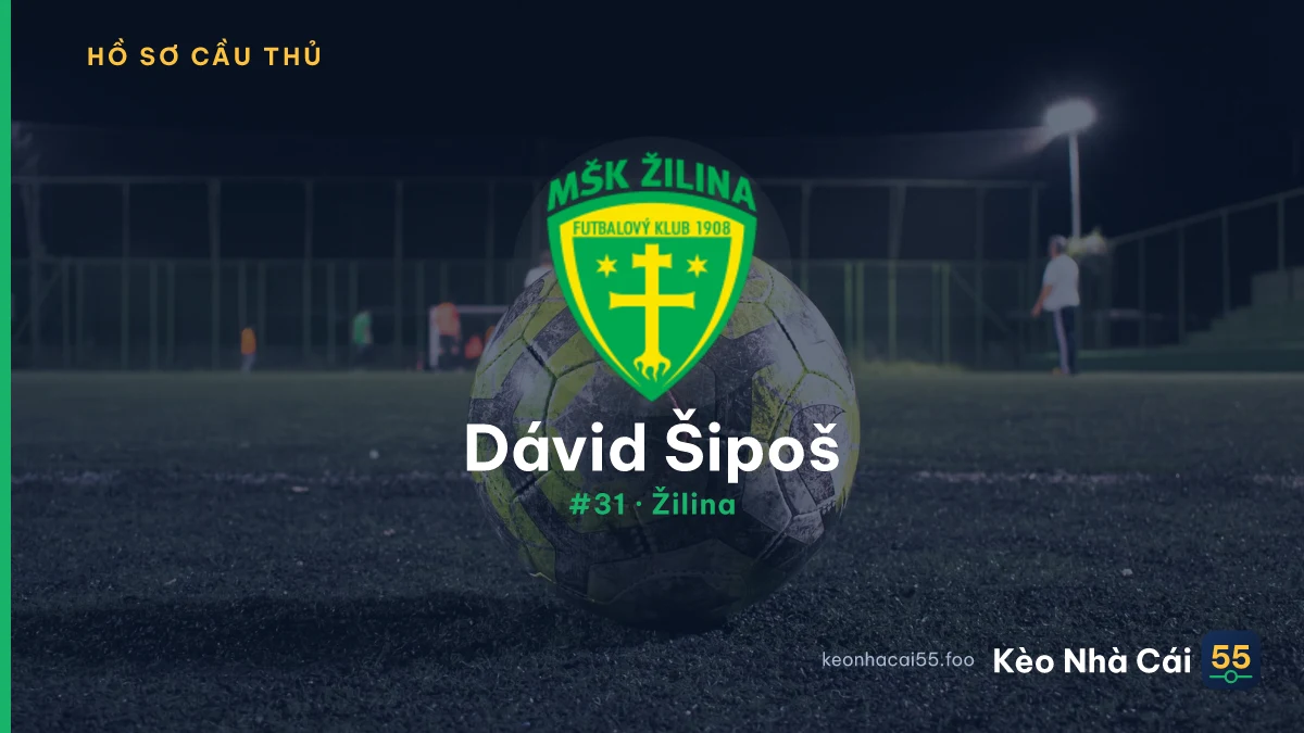 D. Šipoš