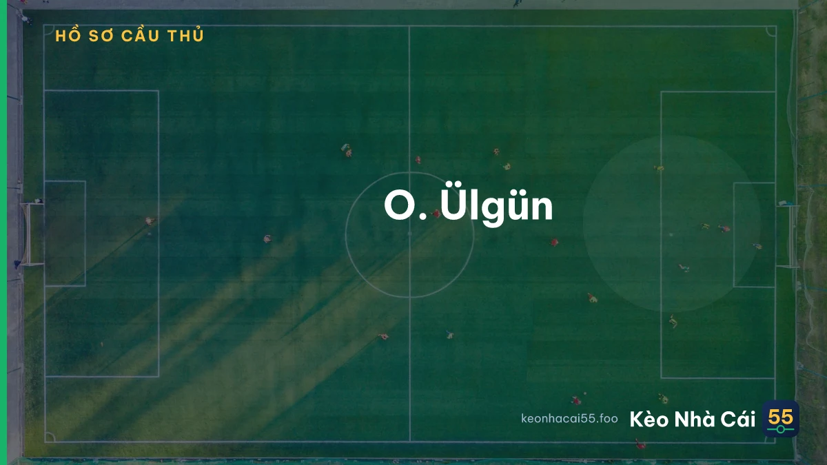 O. Ülgün