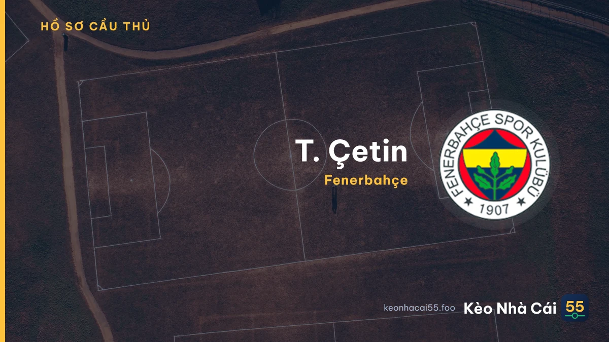 T. Çetin