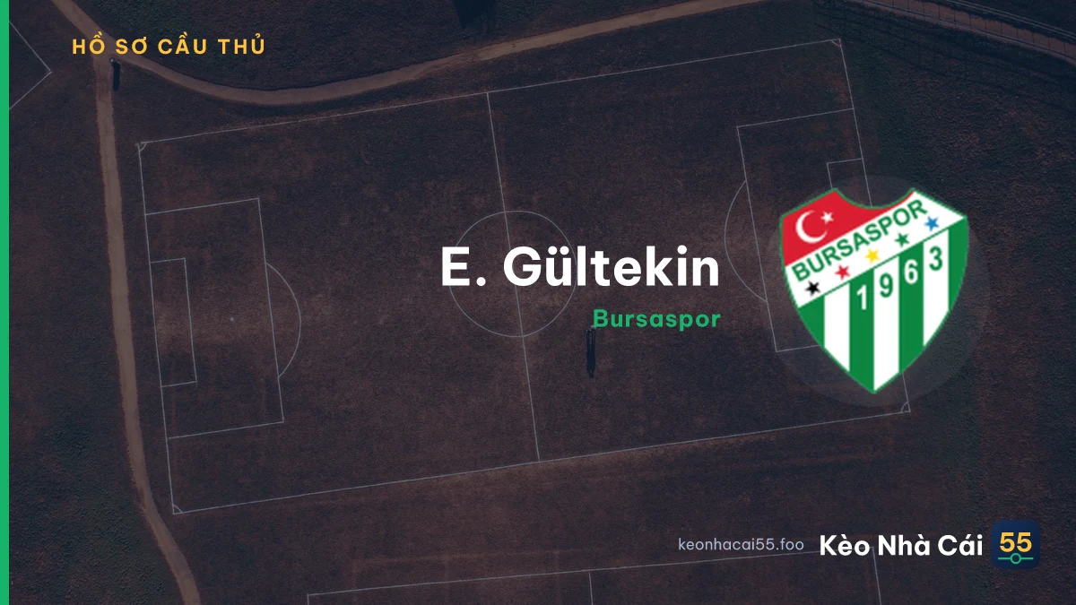 E. Gültekin