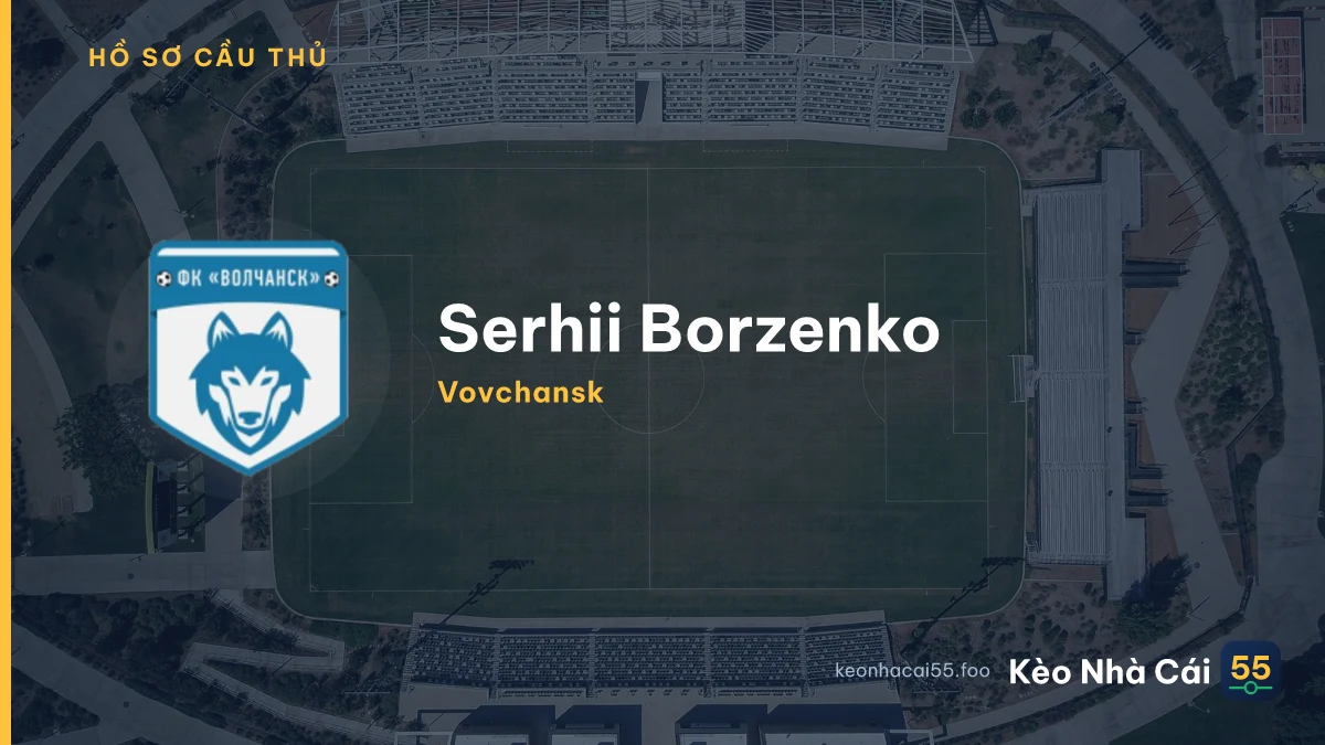 Serhii Borzenko — Vovchansk