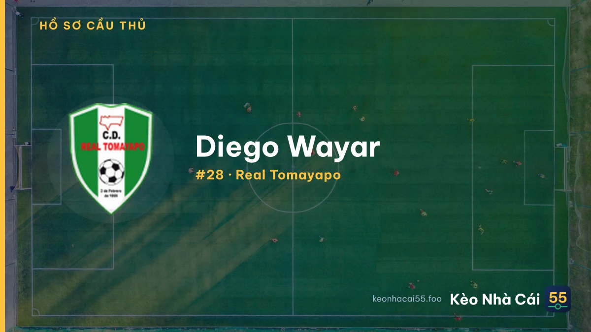 D. Wayar