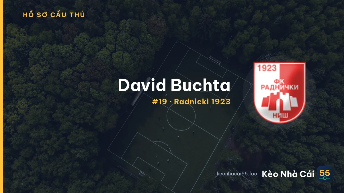 David Buchta — Radnicki 1923