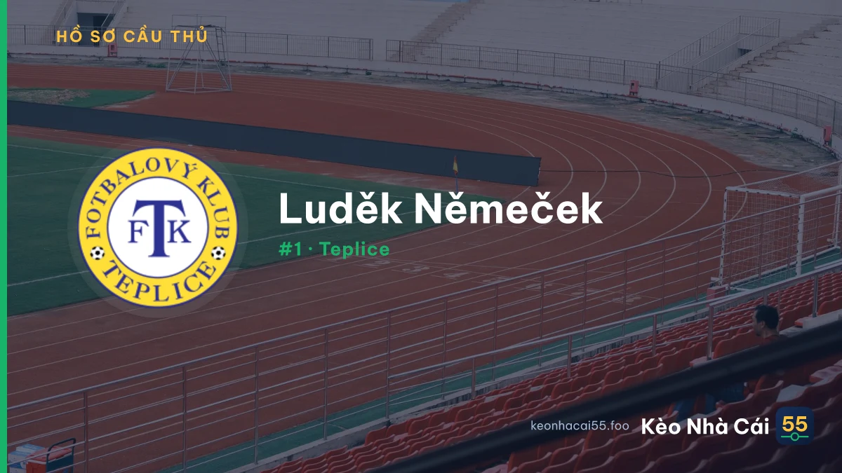 L. Němeček