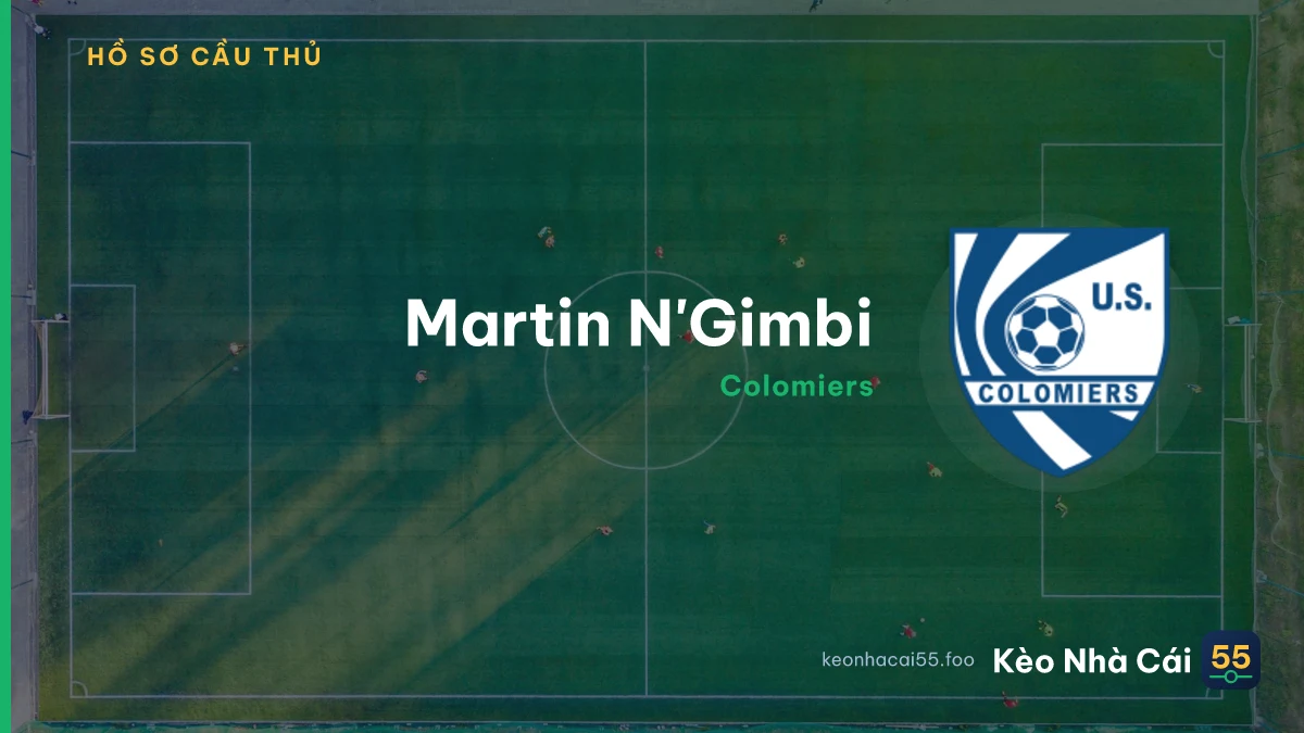 M. N&apos;Gimbi