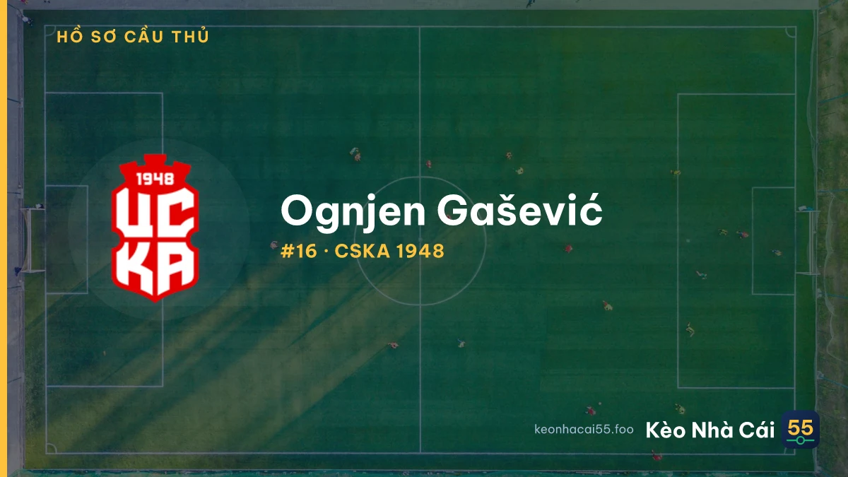 O. Gašević