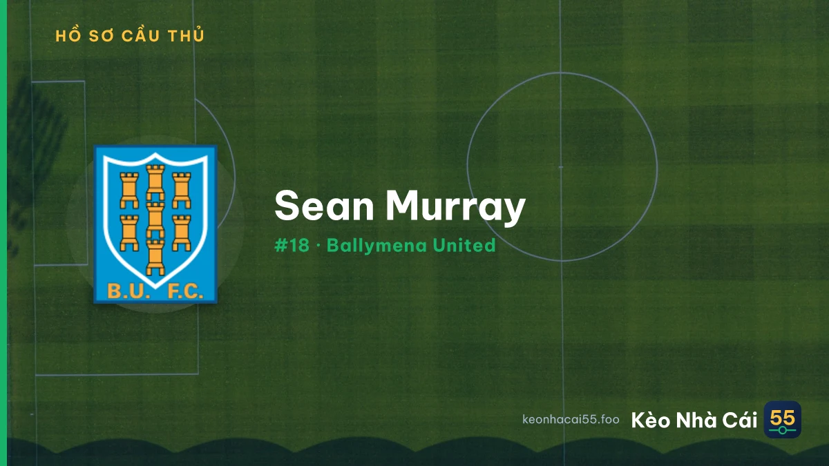 Sean Murray — Ballymena United