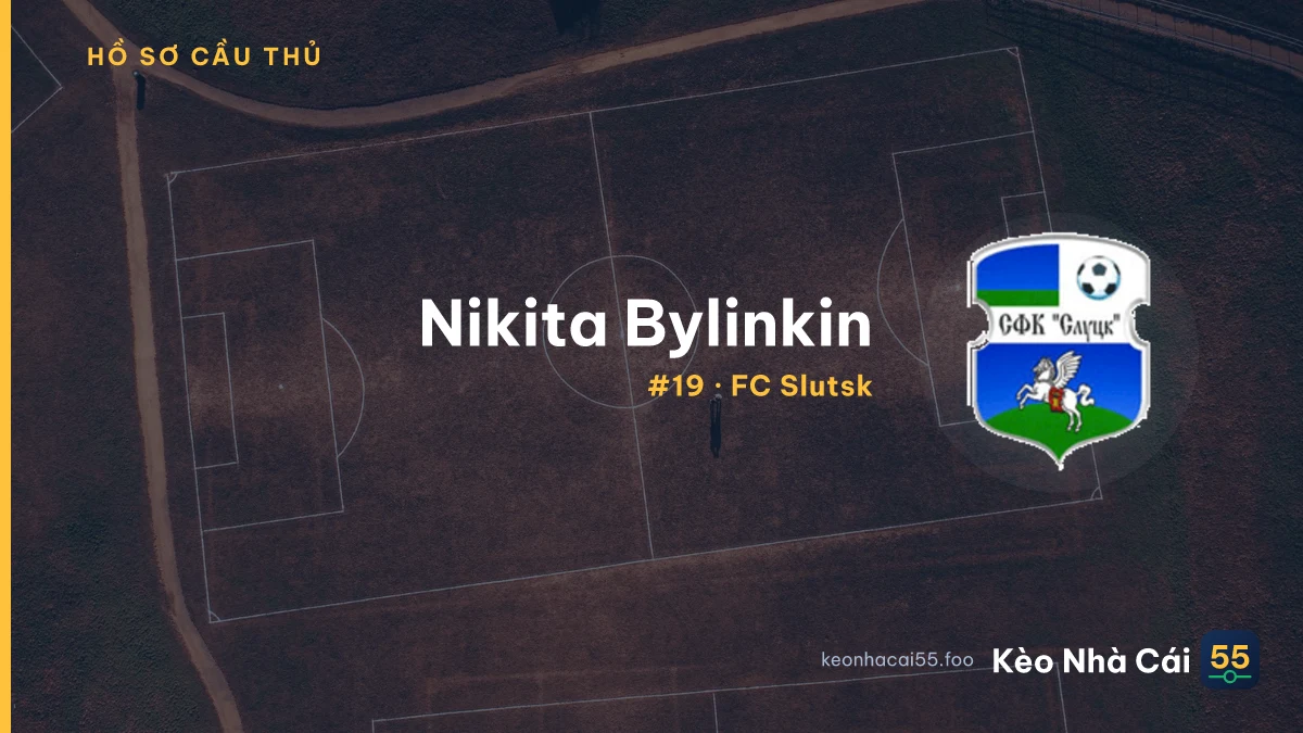 N. Bylinkin — FC Slutsk