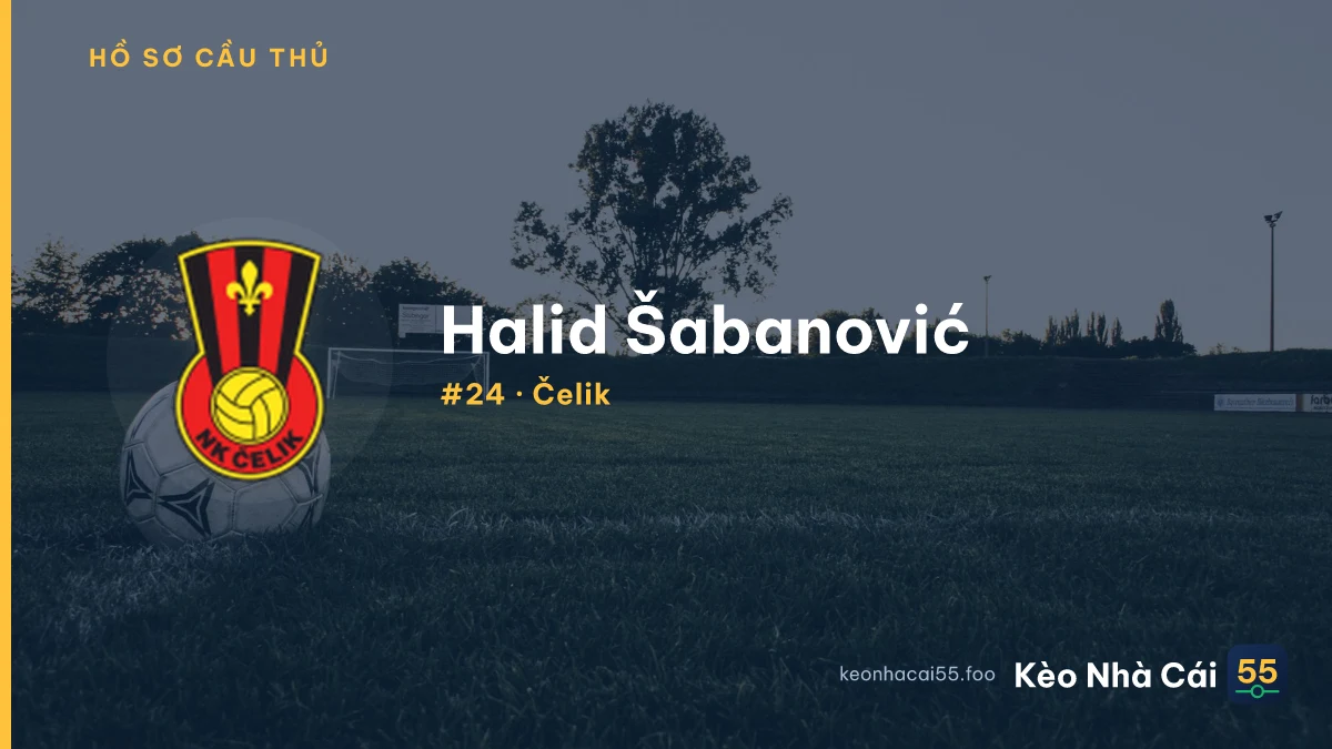 H. Šabanović