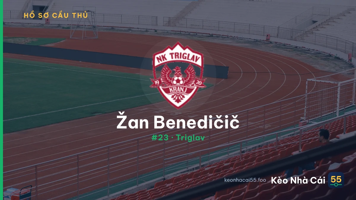 Ž. Benedičič