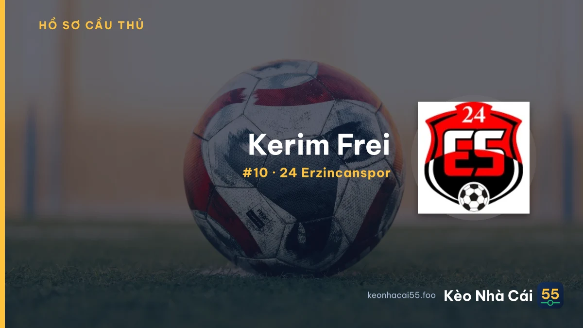 Kerim Frei — 24 Erzincanspor