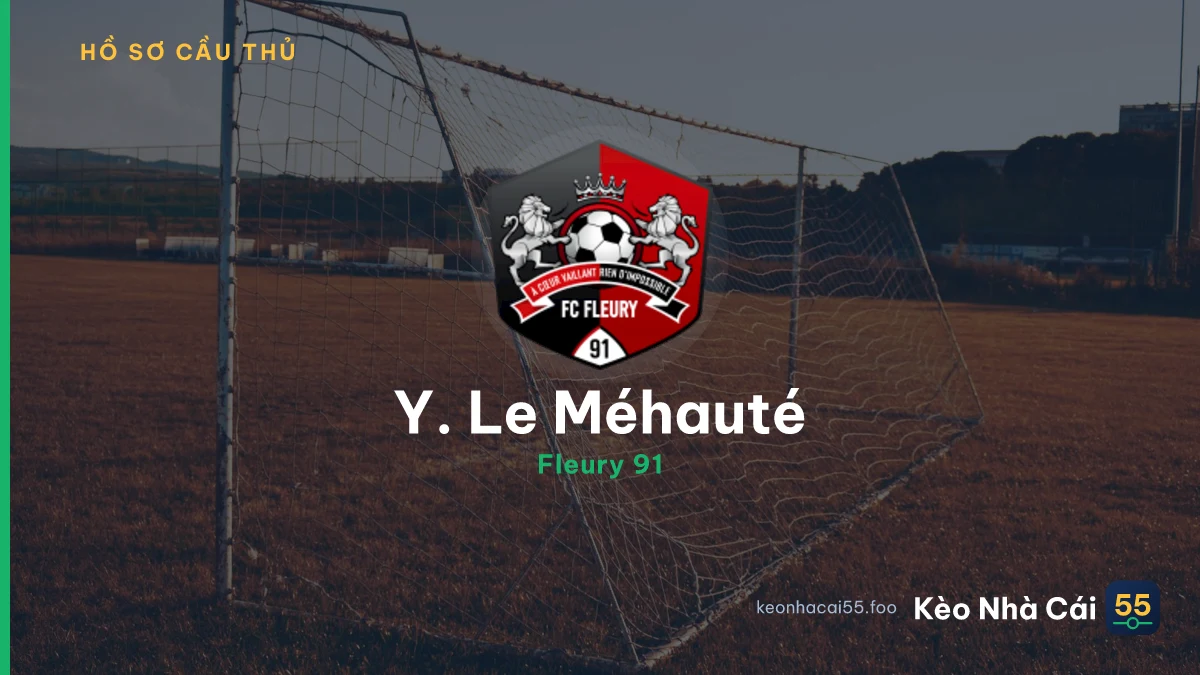 Y. Le Méhauté
