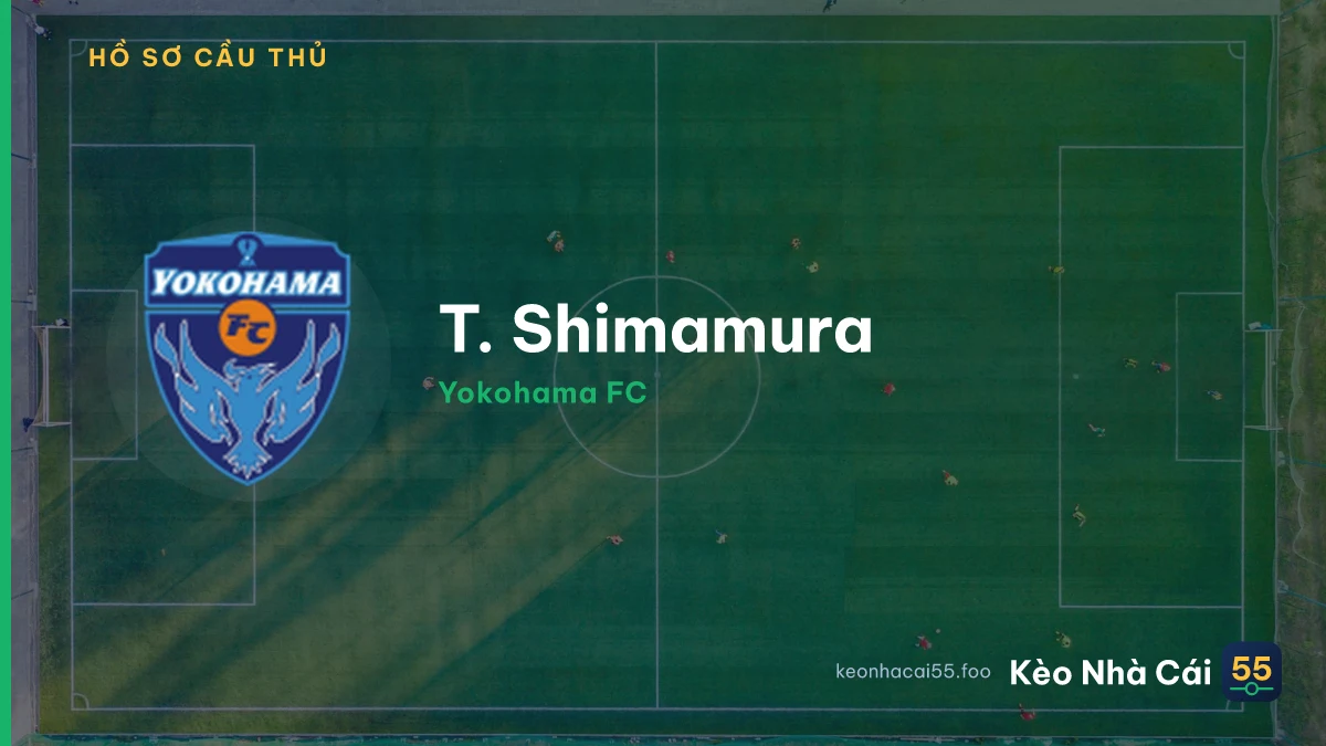 T. Shimamura