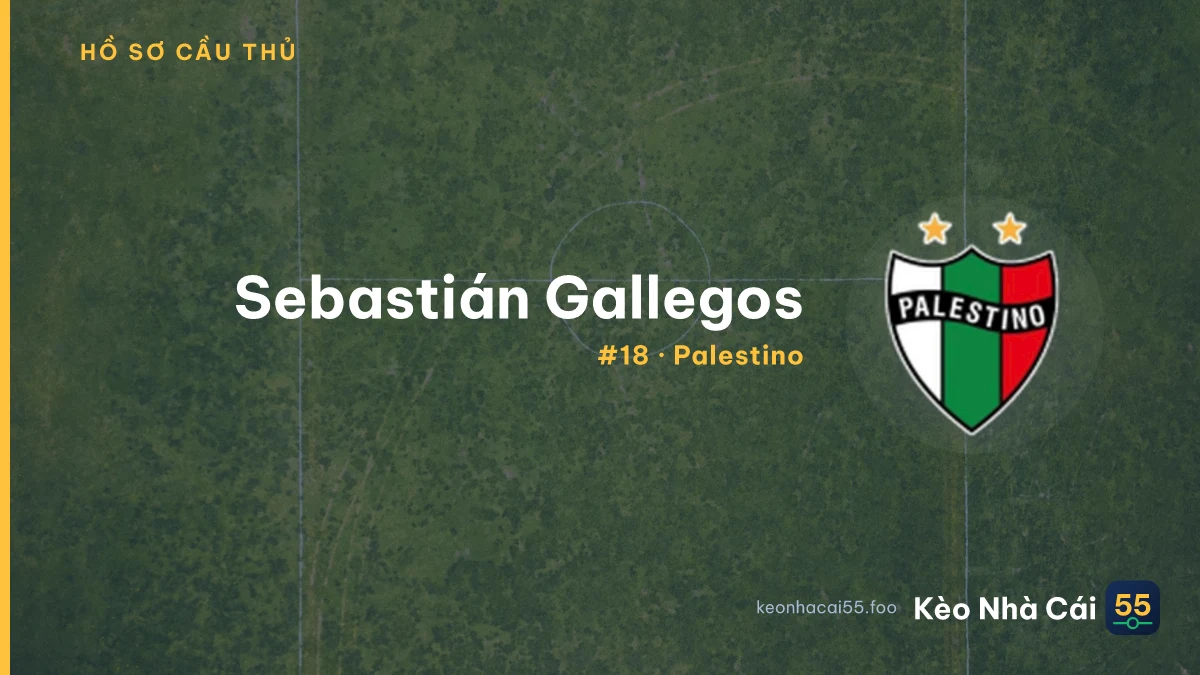 S. Gallegos — Palestino