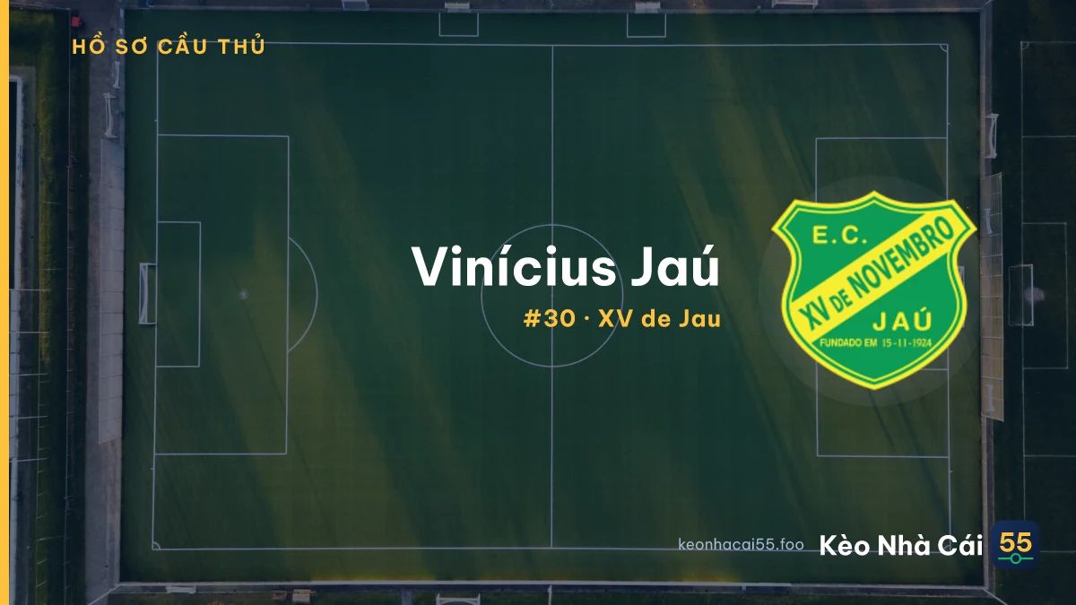 Vinícius Jaú