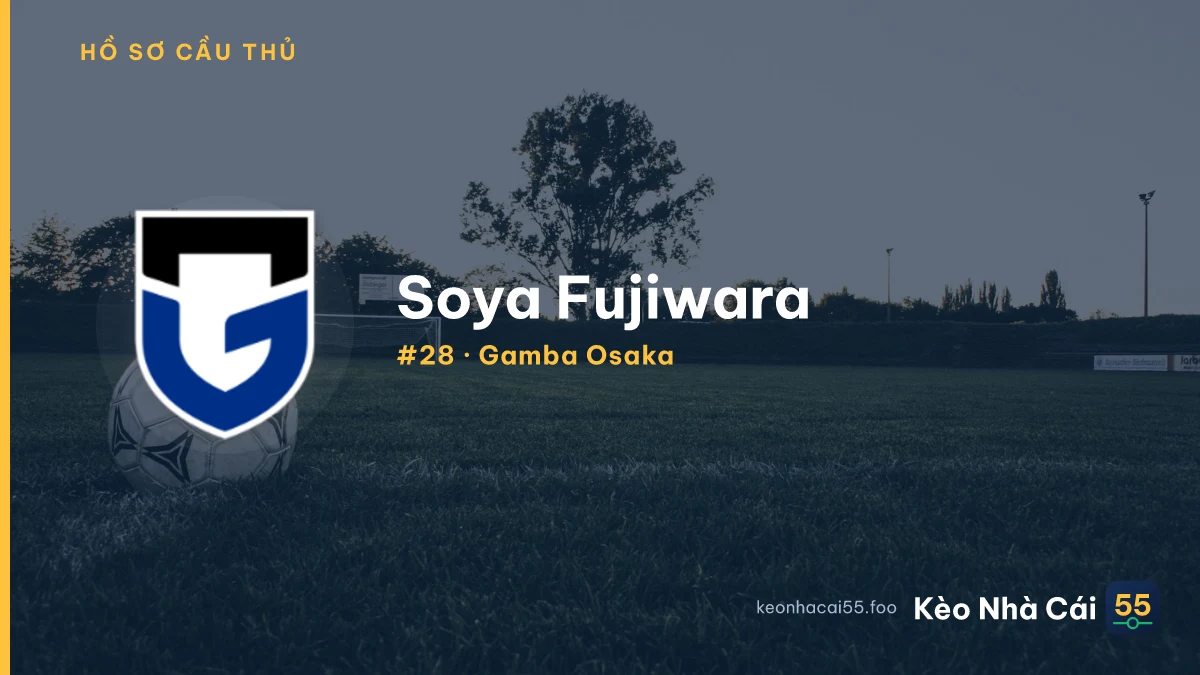 S. Fujiwara