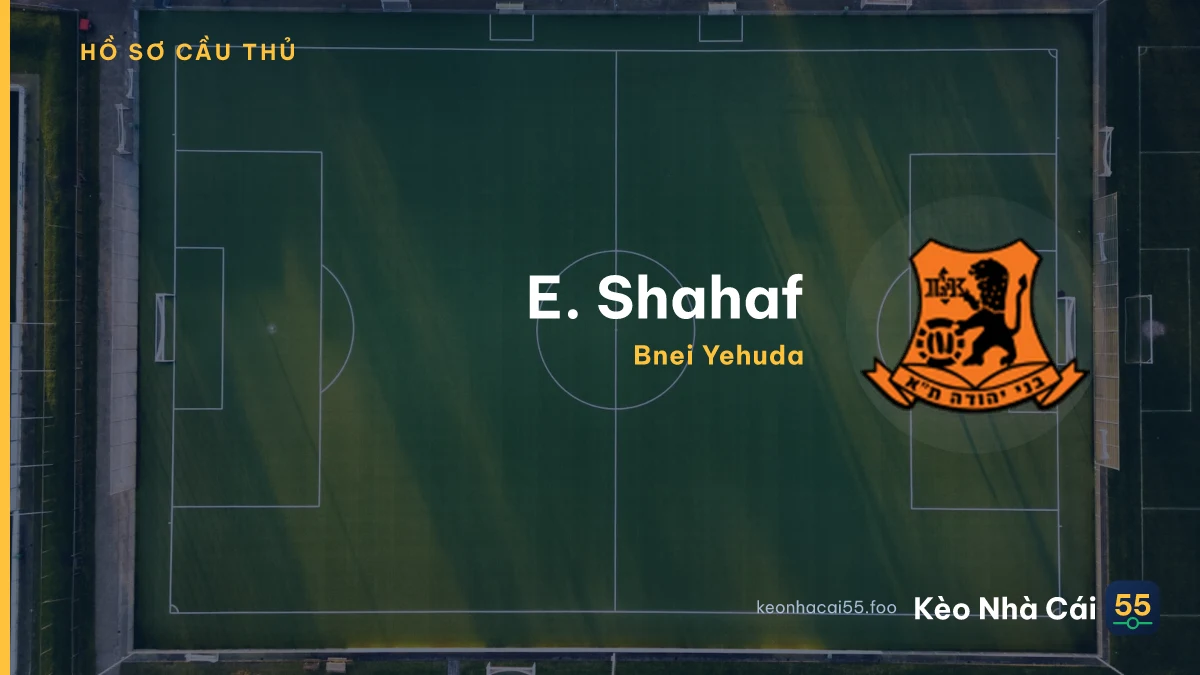E. Shahaf