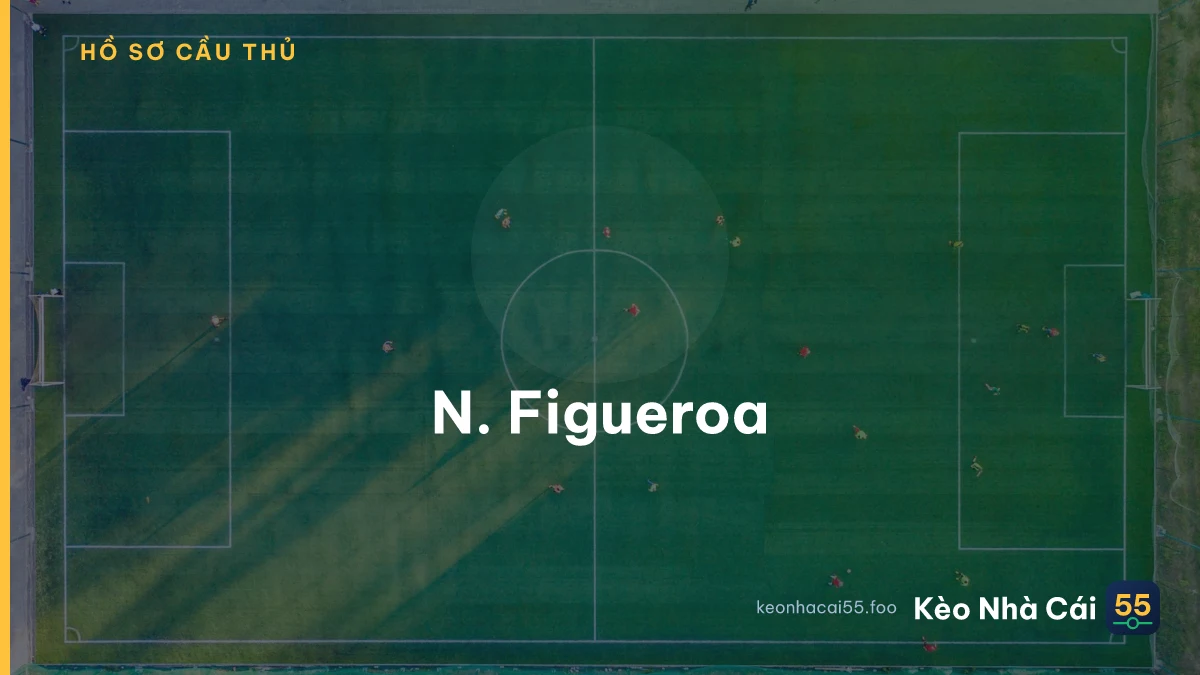 N. Figueroa