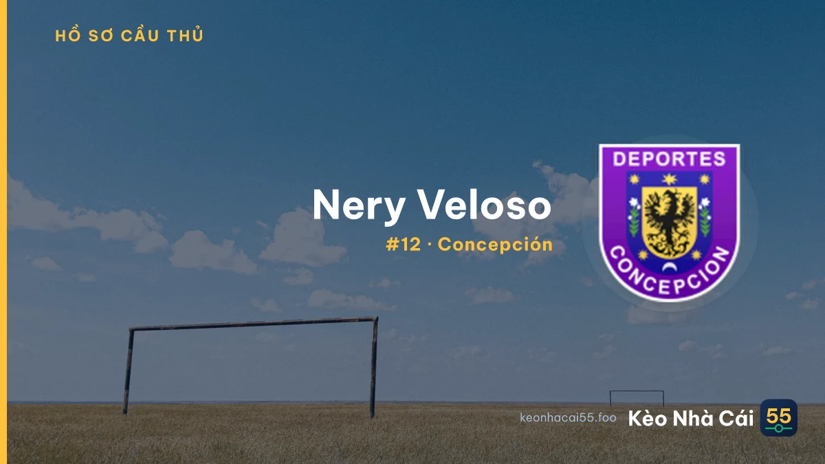 N. Veloso