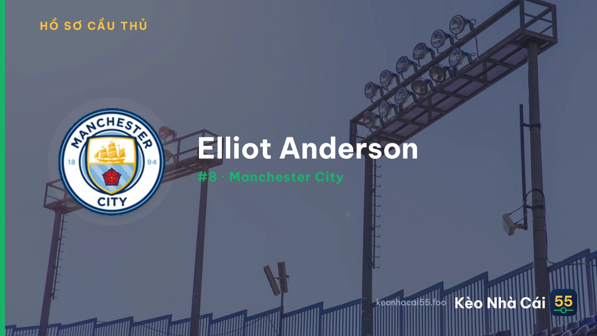 E. Anderson — Manchester City