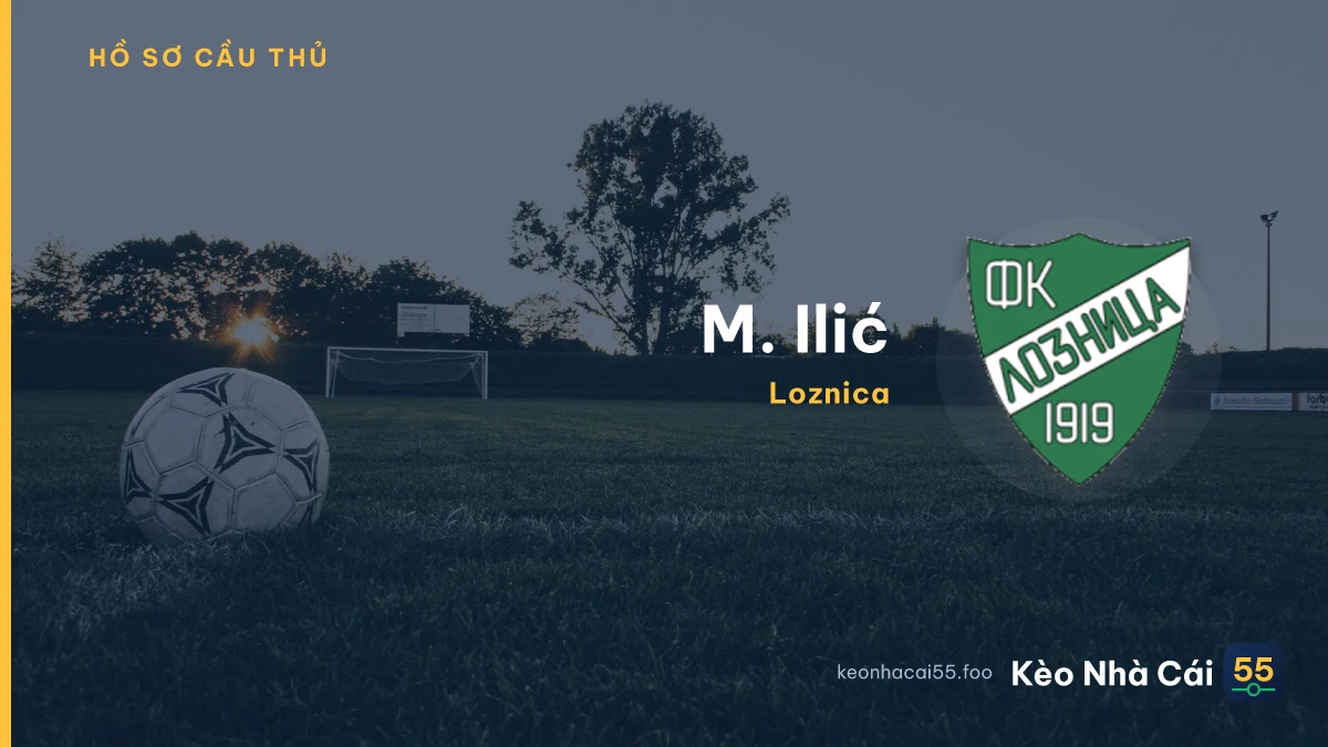 M. Ilić — Loznica