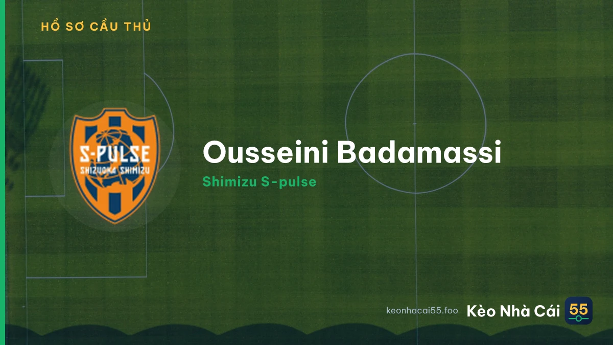 Ousseini Badamassi