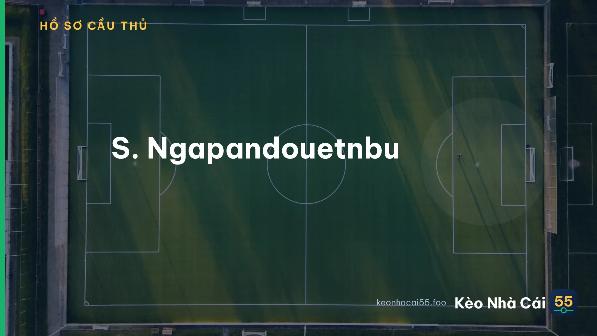 S. Ngapandouetnbu
