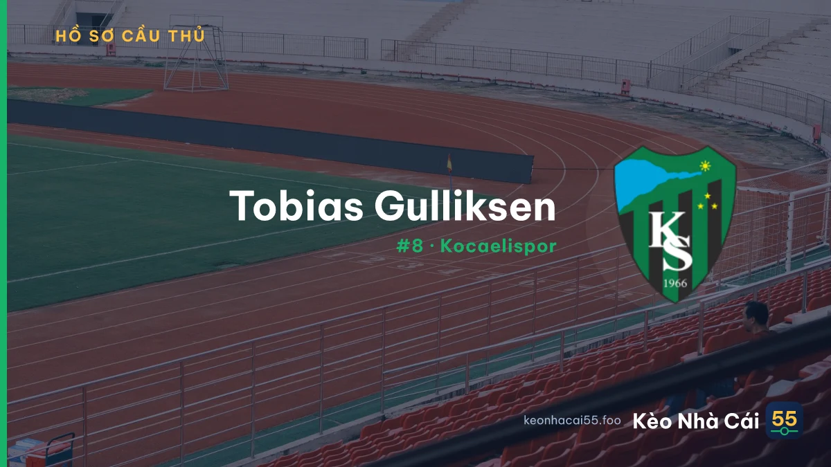 T. Gulliksen