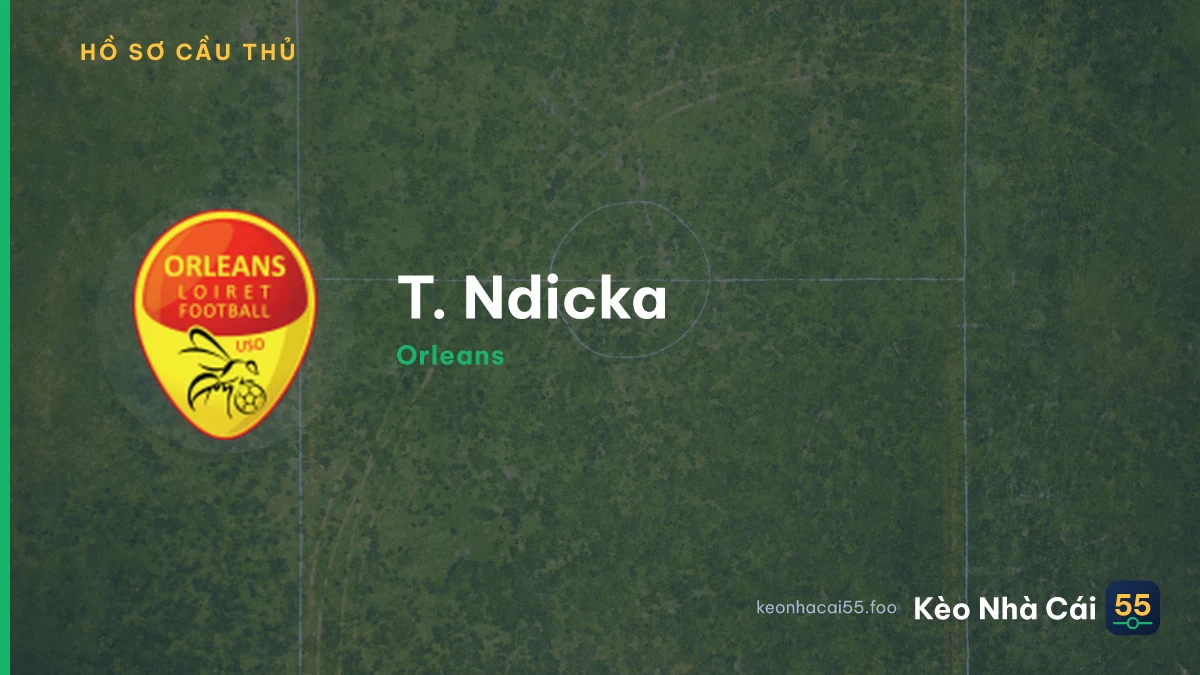 T. Ndicka — Orleans